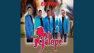 Video thumbnail of "Grupo Galope - Popurri Mary Uno - en vivo"
