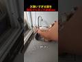 水嫌いすぎる猫を無理やり洗った結果www