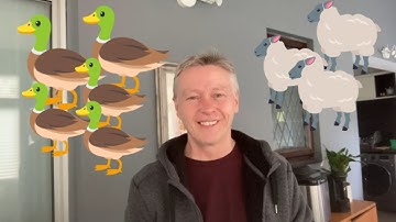 Simultaneous Equation Word Problems - GCSE maths higher tier