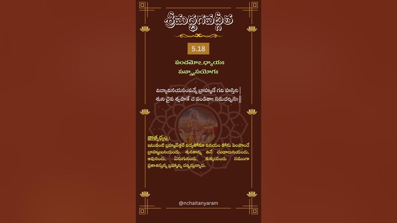 Srimad Bhagavat Gita Chapter 5 Verse 18 gita religion bhagavad-gita-chapter-5-verse-18-triplestarrajeev-youtube