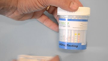 UKDrugTesting 10 drug cup test training part 1