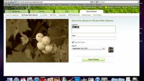 sending picnic edit to picasa.m4v