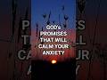 Five Promises From God That Will Calm Your Anxiety Today