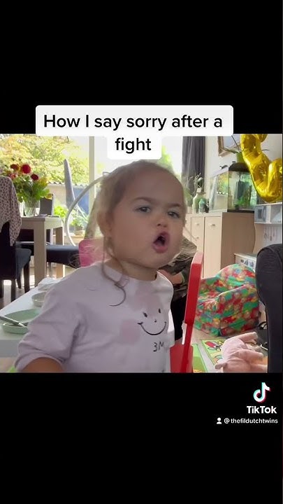 how-i-say-sorry-after-a-fight-shorts-thefildutchtwins-twins-youtube