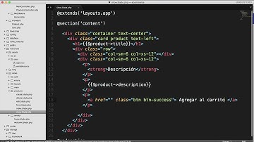Desarrollo Ecommerce con PHP y Laravel | 25. Mostrar producto
