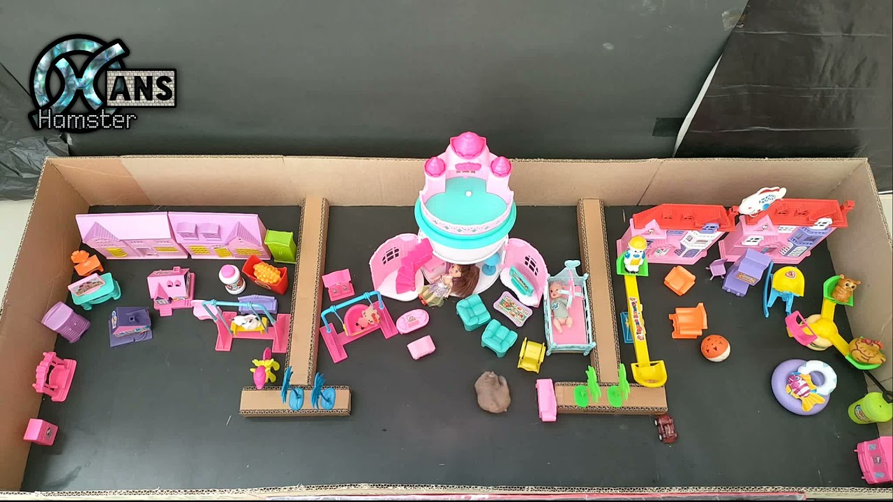 Hamster activity in 1 hour