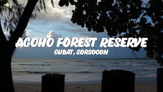 Exploring Agoho Forest Reserve, Gubat Sorsogon | House Caraan