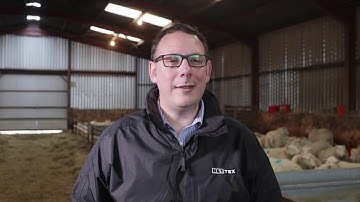 Nettex Lamb Kick Start