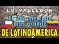VENEZOLANO SORPRENDIDO con los precios del MERCADO en CHILE 🍌🥑🍅 | Mercado LO VALLEDOR