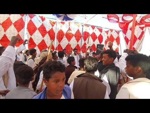 شلاتين عزبت االقصاب