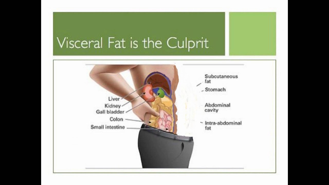 How To Loose Visceral Fat 9