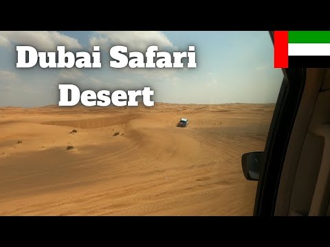 Dubai Desert Safari | Dubai Vlog #159