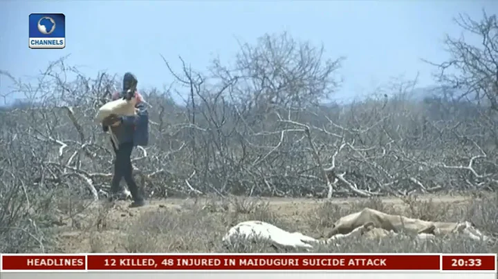 Examining Food Security In Nigeria Pt 3 | Earthfile |