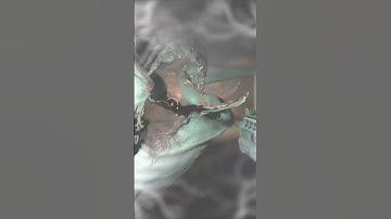 nothing to (Fear 3) viewer discretion is advised