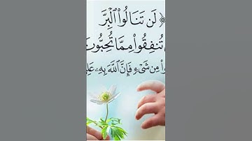 #سورة #آل_عمران#آيه٩٢#كيف تنال البر؟#اسمع _بارك#الله#فيك