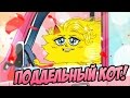 ПОДДЕЛЬНЫЙ КОТ! COUNTERFEIT CAT! (и немного серьёзного разговора)