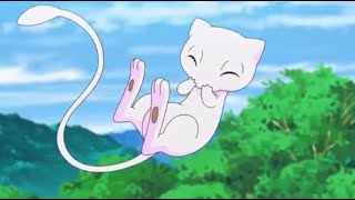 Mew's Cute Moments