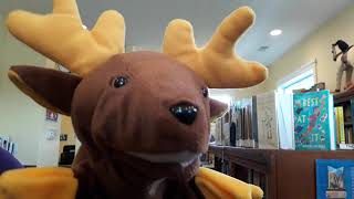 Melcat Is Baaaacccckkkk