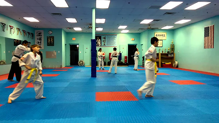 Tae Kwon Do 20 Steps - Yellowbelt