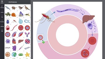 BioRender - Novel Science Illustration tool!