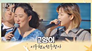 나 좋다는 인간들이 널렸음🐈 이수현x선우정아(Sunwoojunga)가 부르는 〈고양이〉♬ 바라던 바다 (sea of hope) 8회 | JTBC 210817 방송