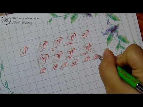 Cách viết và mẫu chữ P hoa sáng tạo - Mẫu chữ P sáng tạo