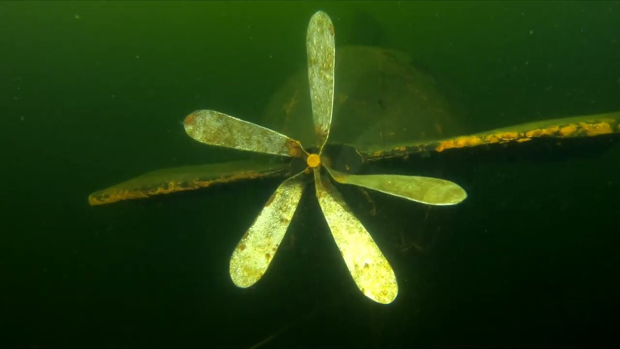 Nurkowanie Bieszkowice jezioro Zawiad