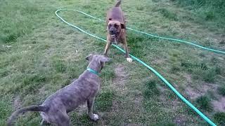 5-21-21 1St Time Steve Meets Sasha-3