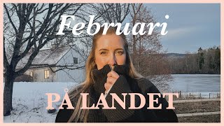 02. Februari på landet, odlingsplaner & vårrensning