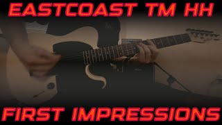 EASTCOAST TM HH ELECTRIC GUITAR (First Impression with sounds)