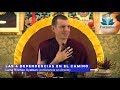 Lama Rinchen Gyaltsen: Las 4 dependencias en el camino