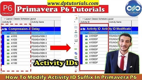 Change Activity ID  by Primavera and Excel