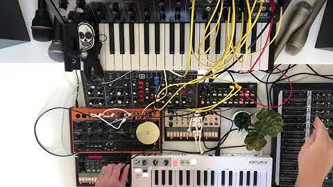 Experience 89 • Korg • MS-20 • SQ-1 • Volca Keys • Volca FM • Behringer • Model D • Crave