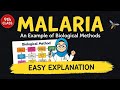 Malaria – An Example of Biological Method | Class 9 Biology Easy Explanation