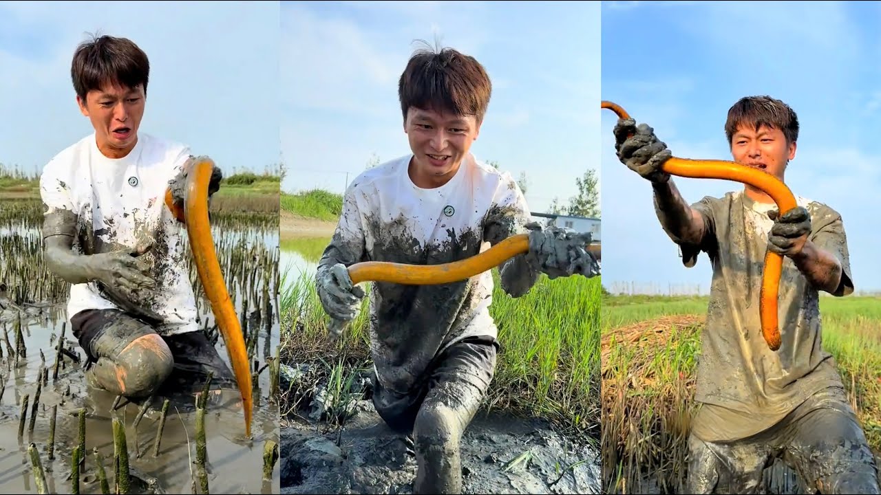 Bỏ 400 tệ bao ao nhà fan, ai ngờ ổ lươn toàn hàng khủng