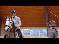 HORSE SWAP WITH PATRIK KITTEl