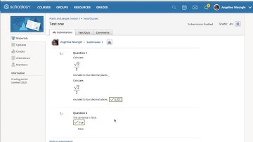 Tests: Student access to performance on a test in Schoology
