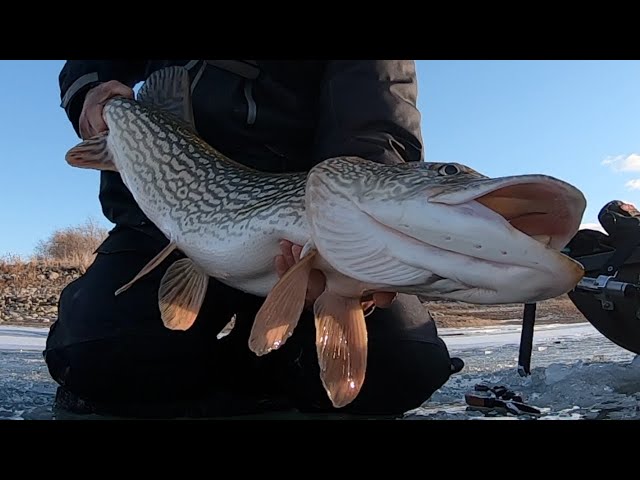 Prairie Boy Fishing 