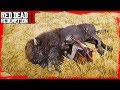 RDR2 Hunting Bison / Hunting and skinning with John Marston Gameplay🤠🤠🤠
