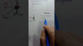 CIRCULAR MOTION ferris wheel