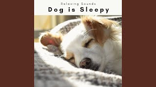 Music of Hard Dog REM Phase