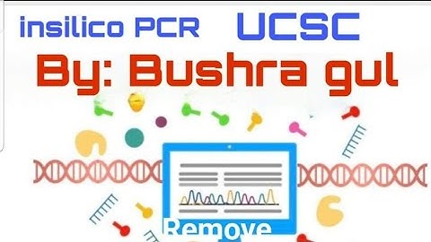 In silico PCR (UCSC Genome Browser) | Primers specificity | Molecular Biology | Bushra Gul