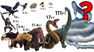 ⁣Top 100 Animal Size Comparison