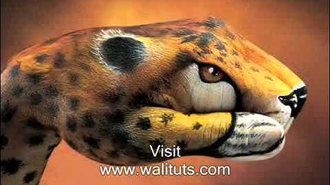 Most Amazing Hand Paintings [from www.metacafe.com].flv