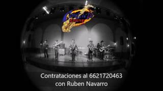 Contacto Norte-Palomita Blanca