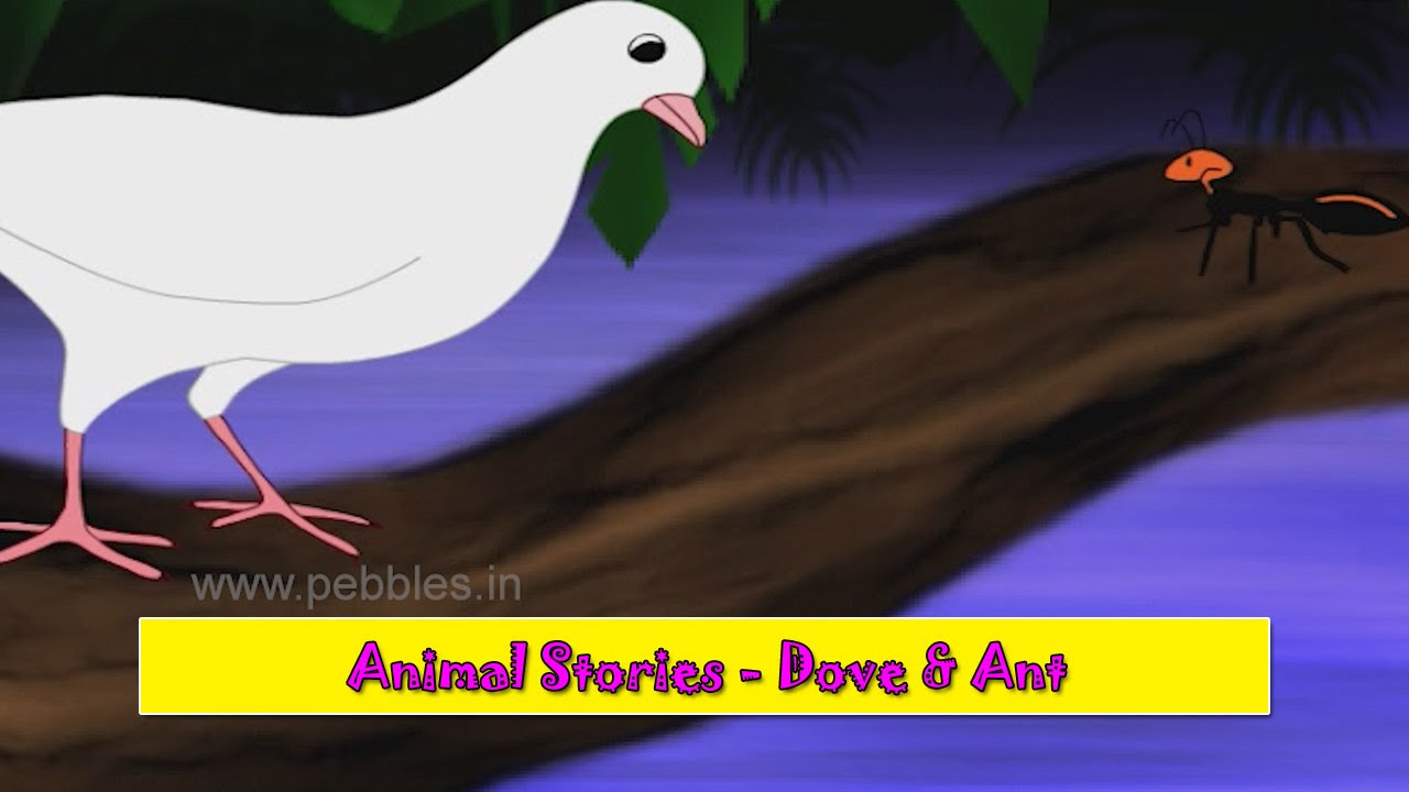 Kabutar Ani Mungi  Dove  Ant  Animal Stories Marathi for Kids  Marathi Goshti for Children HD