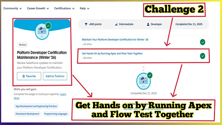 Platform Developer Certification Maintenance Winter '26 |Get Hands-On by Running Apex and Flow Tests