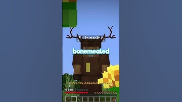 I Disguised Myself As A POOR NOOB On My Prison Server