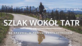 Bicycle TRAIL AROUND THE TATRA MOUNTAINS on gravel. We are looking for crocuses