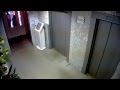 Собаку чуть не задушил лифт. Пермь. Dog nearly strangled Elevator